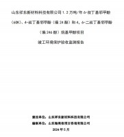 山東祥東新材料科技有限公司1.2萬噸/年6-叔丁基鄰甲(60K)、4-叔丁基鄰甲酚(偏 24 酚)和 4，6-二叔丁基鄰甲酚(偏 246 酚)烷基甲酚項(xiàng)目竣工環(huán)境保護(hù)驗(yàn)收監(jiān)測報(bào)告
